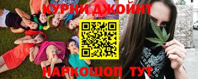 гидропоника Можга