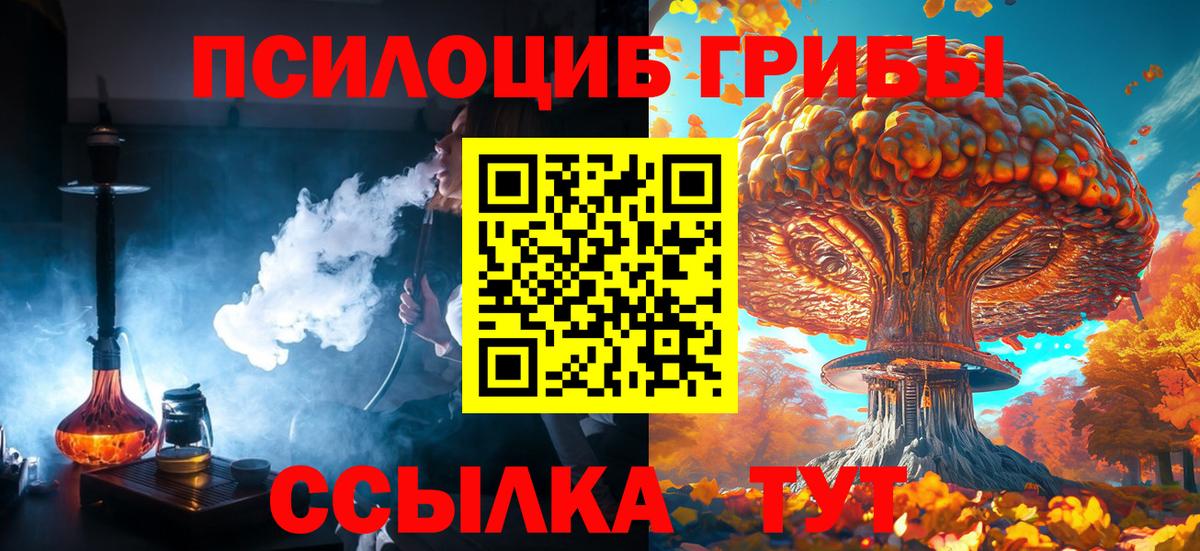 Псилоцибиновые грибы Magic Shrooms  Вход с VPN  Гагарин  Псилоцибиновые грибы Psilocybe 