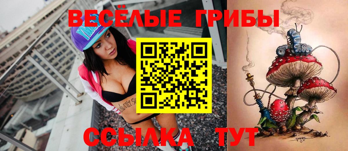 Псилоцибиновые грибы GOLDEN TEACHER Гагарин