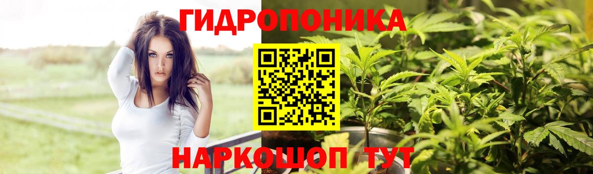 Марихуана гибрид Гагарин
